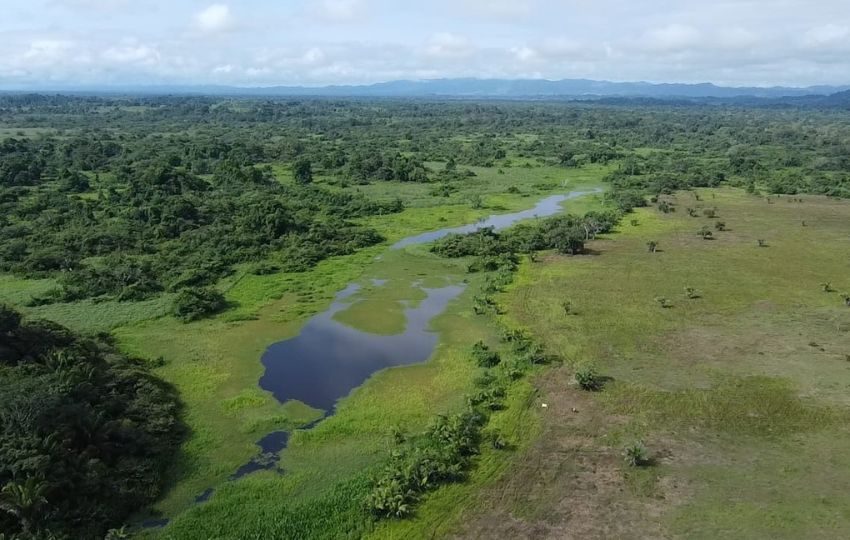 Complejo de Humedales de Matusagaratí. Foto: Cortesía
