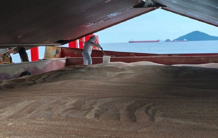 Inspectores del Mida revisan un cargamento de trigo en un buque. Foto: Cortesía