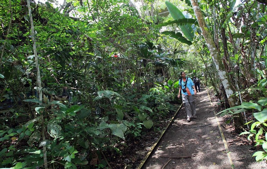 La industria del turismo aporta actualmente el 11 % del Producto Interno Bruto (PIB) de Panamá. Foto: EFE