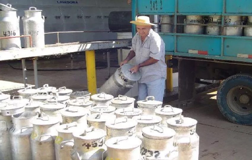 La producción local se utilizará en la elaboración de nuevos productos. Foto: Cortesía