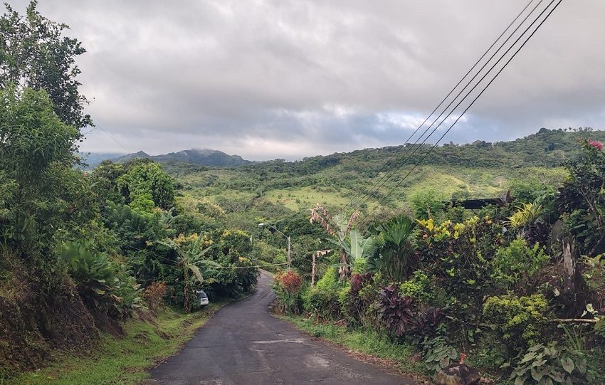 Algunos residentes también han optado por reconvertir el uso de sus tierras, transformándolas en fincas agroturísticas
