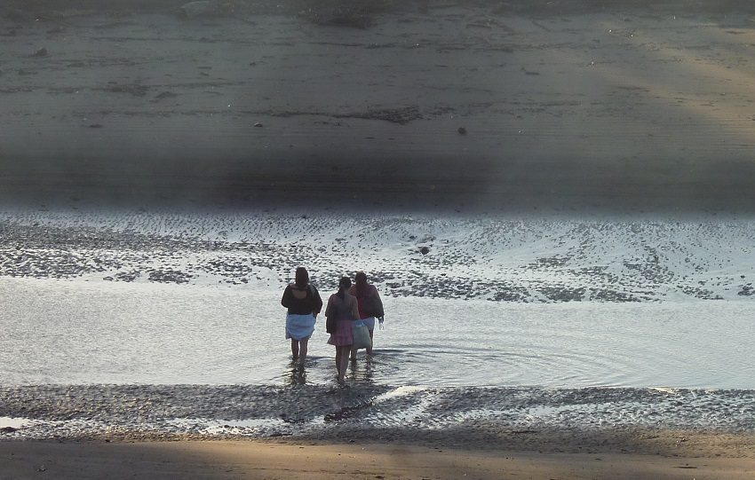 Uno de los escenarios más prometedores se encuentra en Mariato, Veraguas, al igual que Montijo con sus islas y zona costera de gran belleza natural Foto. Melquíades Vásquez
