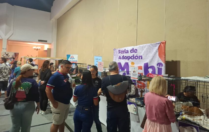 Feria de adopción. Foto: Belys Toribio