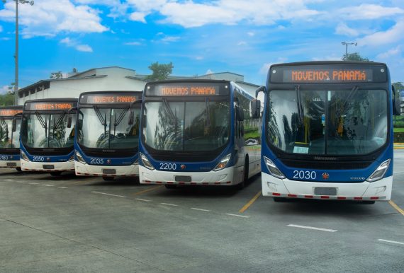 MiBus cuenta actualmente con 1,436 unidades de transporte colectivo. Foto: Cortesía