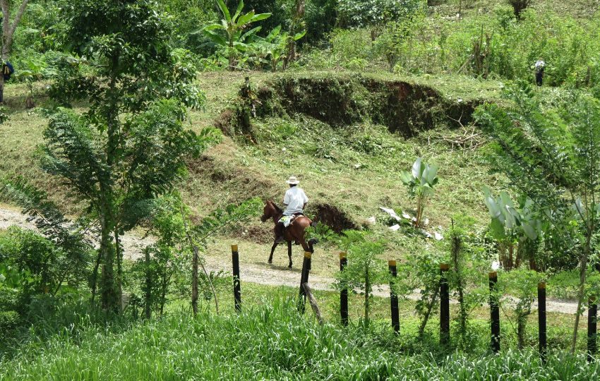  Los concejales de Capira apuestan por el desarrollo que implica para el distrito la construcción de la línea férrea y una estación. Foto: Eric Montenegro