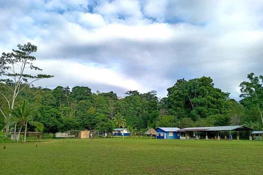 Según Yard hay puntos importantes del país en el que se debe tomar correctivos