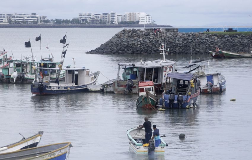 Pescadores trabajan en un muelle. Foto: EFE