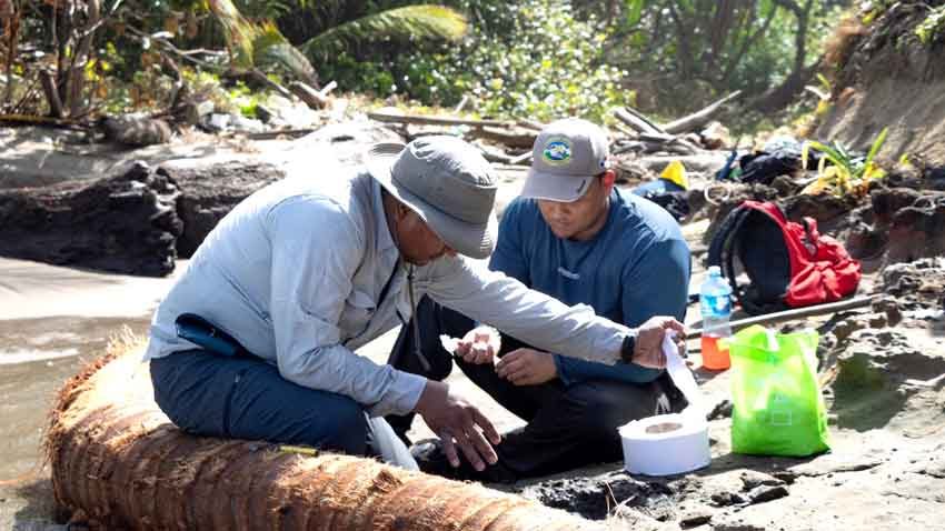 El artículo de este descubrimiento es de acceso abierto para investigadores y lectores de todo el mundo. Foto Universidad de Panamá
