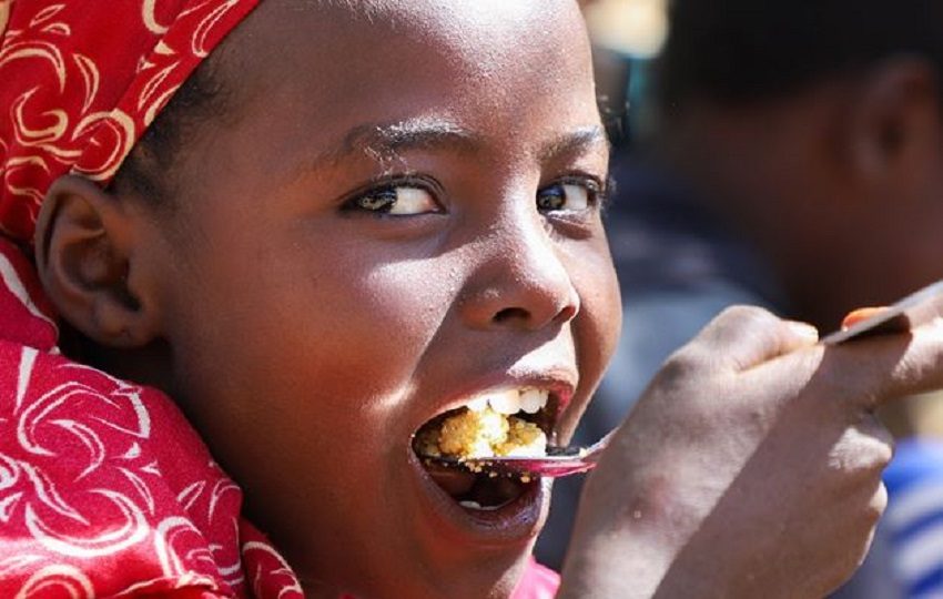 Este proyecto busca que las comunidades recuperen su autonomía económica. Foto: Cortesía