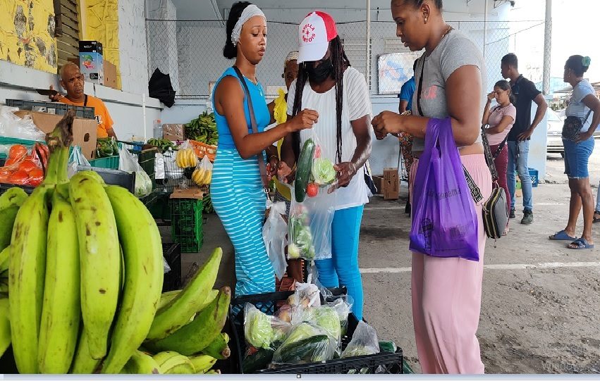 El grupo de 10 vendedores fue reubicado en el estacionamiento del antiguo centro de salud “Magally Ruiz”. Foto. Eric Montenegro