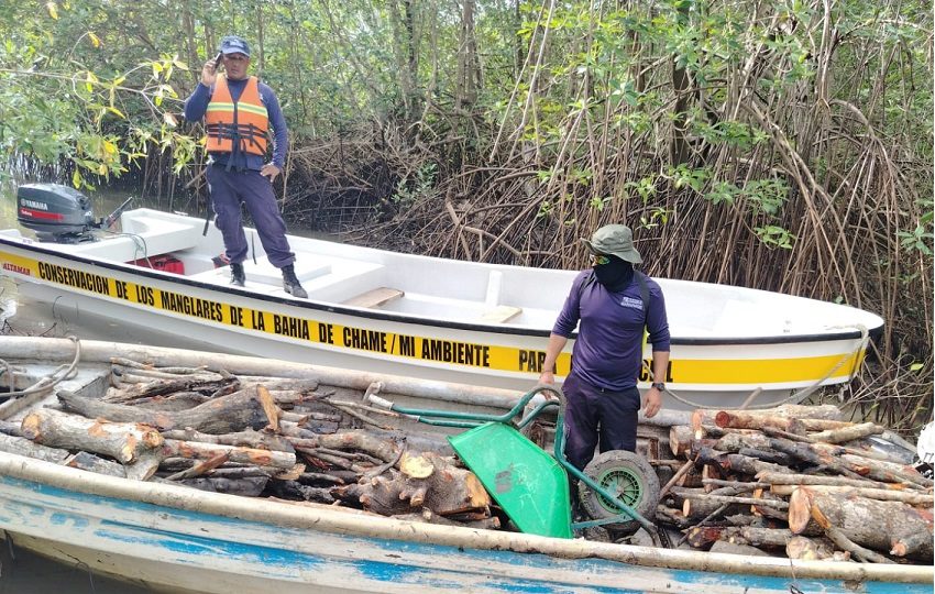 La embarcación fue ubicada en el sector de Puerto La Zona, Estero Quebrada de Agua Sucia, corregimiento de Bejuco, distrito de Chame. Foto. MiAmbiente