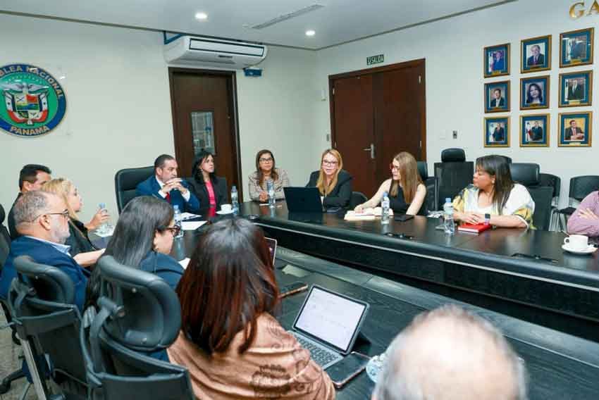 Técnicos del MICI dieron una exposición detallada sobre el contenido del acuerdo con el Mercosur.