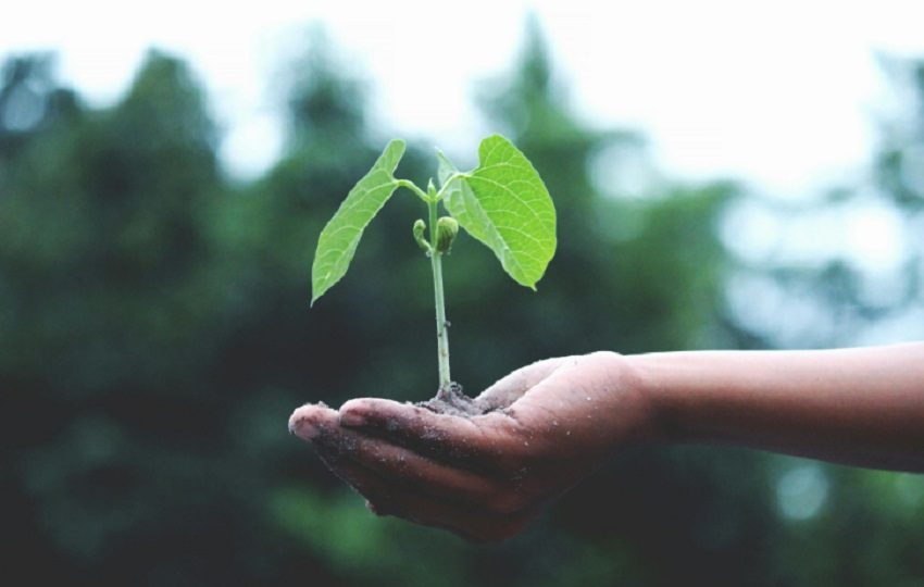 El cambio climático plantea desafíos cada vez más complejos para las empresas y la sociedad. Foto: Cortesía