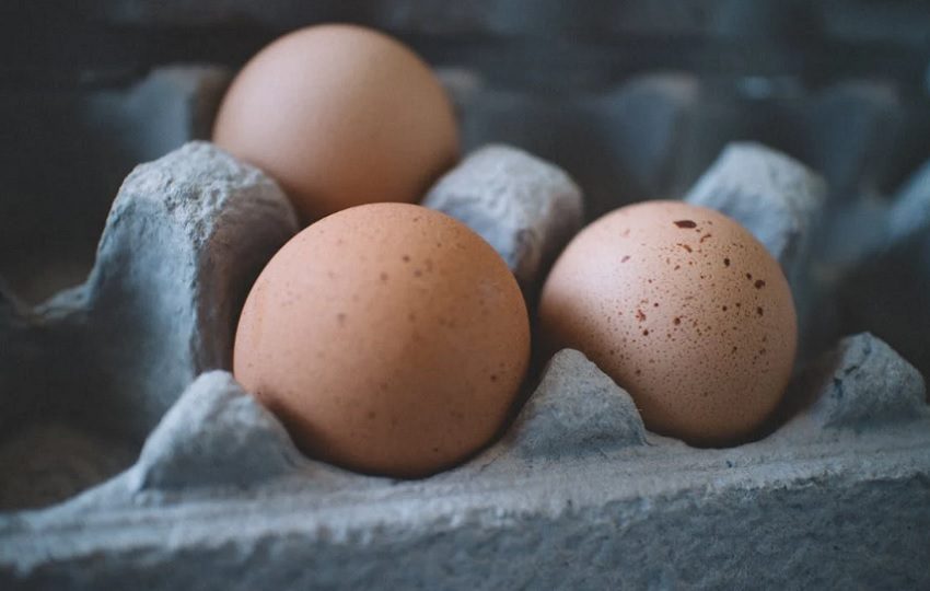Esta proteína esencial gana cada vez más protagonismo en las órdenes de supermercado. Pexels/Ilustración