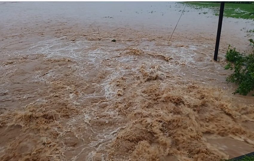 Los reportes preliminares confirman pérdidas materiales aún no cuantificadas: cultivos agrícolas devastados, acueductos rurales destruidos, animales domésticos arrastrados por las aguas y cientos de enseres perdidos.  Foto. Melquíades Vásquez