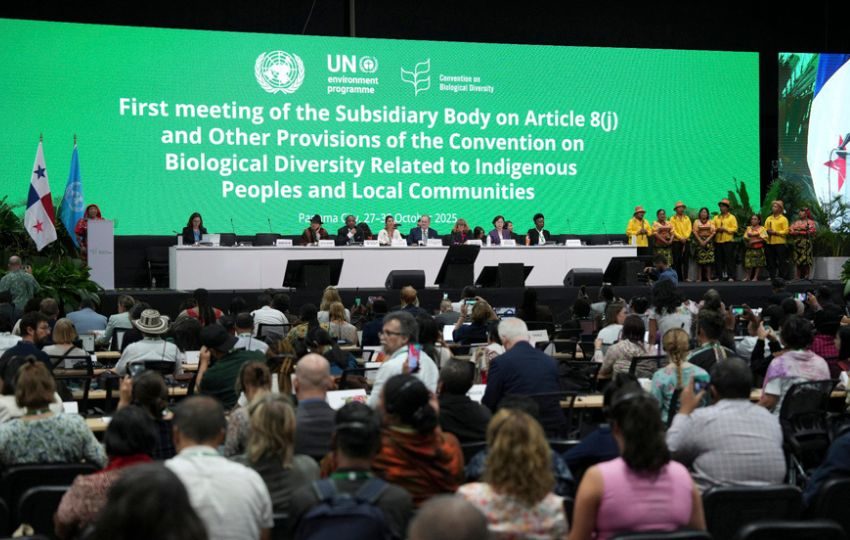 Primera sesión del Órgano Subsidiario sobre el Artículo 8(j) del Convenio sobre la Diversidad Biológica (CDB). Foto: EFE