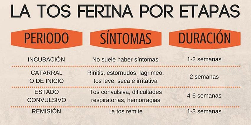 Comportamiento de los síntomas de la tosferina por etapas. Foto: Internet