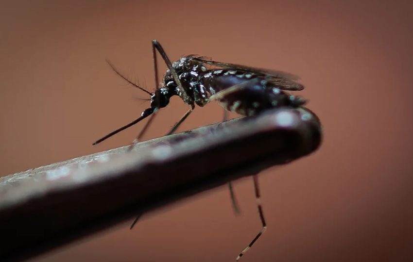 La mayoría de los casos se registran en personas de entre los 10 y 49 años. Foto: EFE