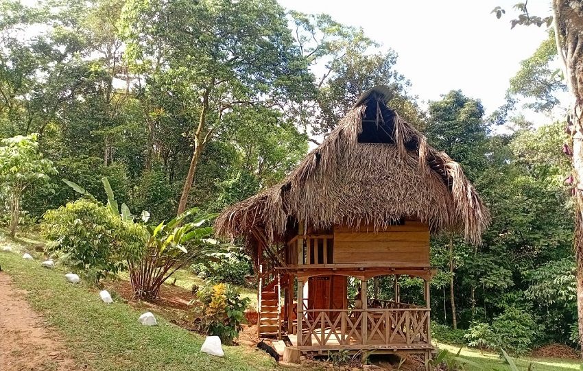 En el 2026, la oportunidad de conocer un poco más de la provincia de Panamá Oeste es posible, visitando estos hermosos sitios.  Foto. Eric Montenegro
