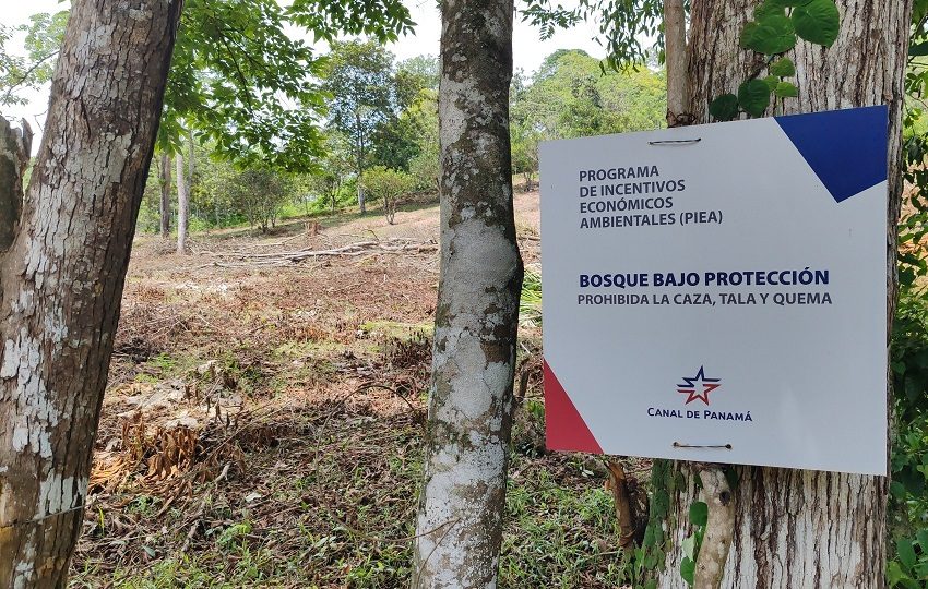 Saltos de agua, áreas protegidas, caminatas por bosques, centros comerciales, un cinturón de playas en el litoral Pacífico, granjas agroturísticas, zonas para acampar y la proximidad a un aeropuerto son parte del potencial de la provincia. Foto. Eric Montenegro