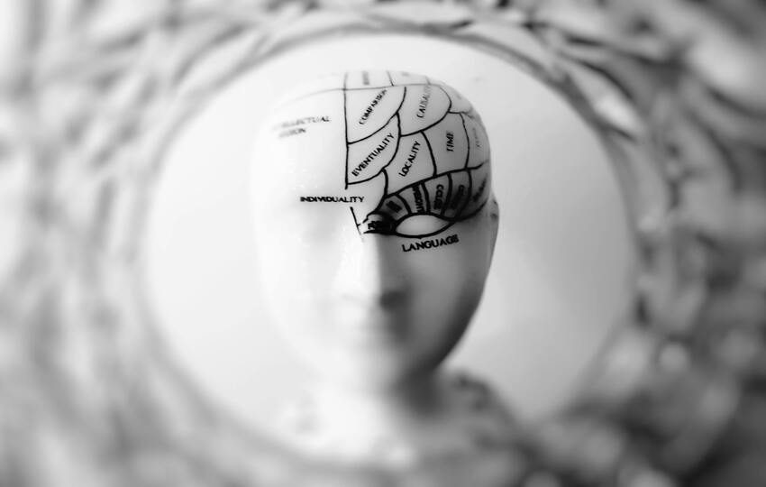 El cerebro humano es complejo. Foto: Pexels