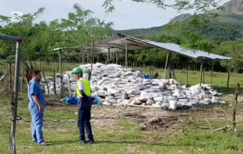 Vecinos se quejaban por los desagradables olores provenientes de la finca. Fotos Eric Montenegro