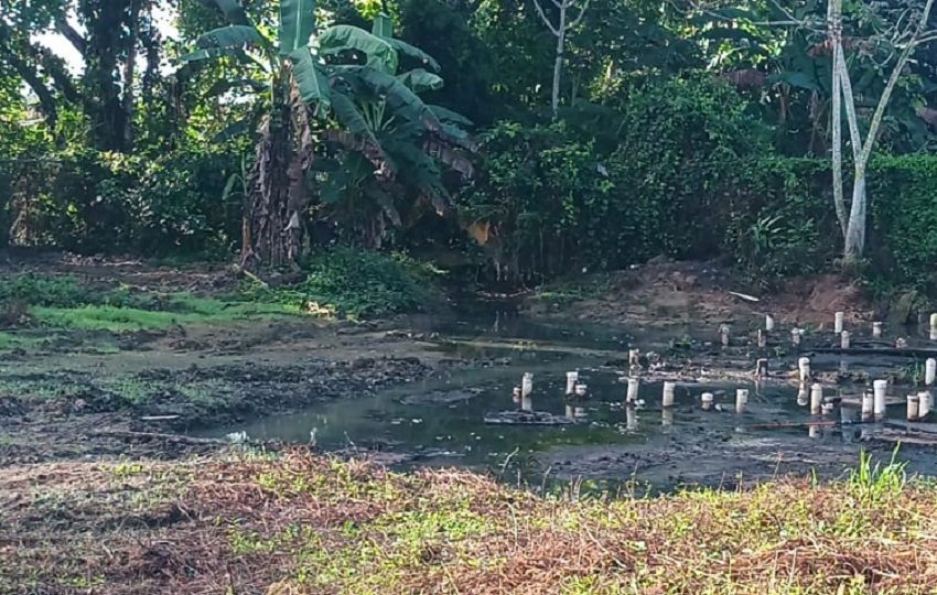 Los residentes hicieron un llamado urgente a las autoridades para que intervengan de manera inmediata y se adopten medidas que garanticen condiciones sanitarias adecuadas. Foto. Melquíades Vásquez