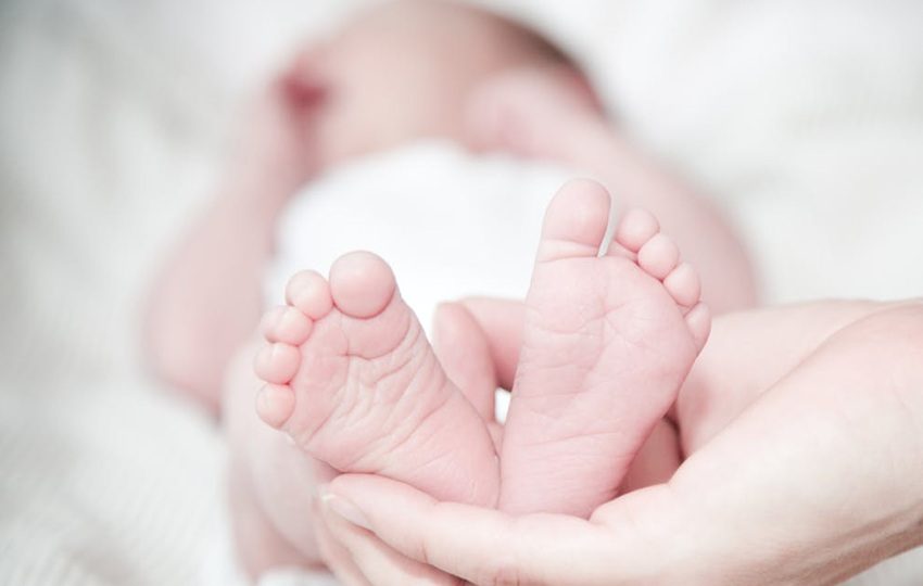 La circulación viral ha sido afectada por eventos globales. Foto: Pexels