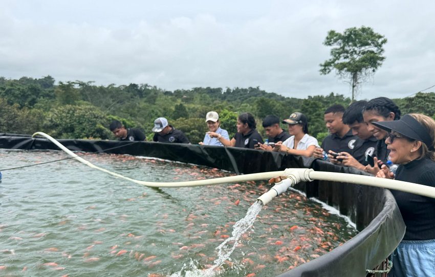 En Finca “La Vieja Molienda”, indica Espinosa, los visitantes tienen opciones de senderismo, hidroponía, el proceso postcosecha del café y agricultura circular. 