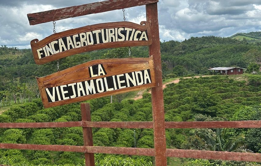 En Finca “La Vieja Molienda”, indica Espinosa, los visitantes tienen opciones de senderismo, hidroponía, el proceso postcosecha del café y agricultura circular. 