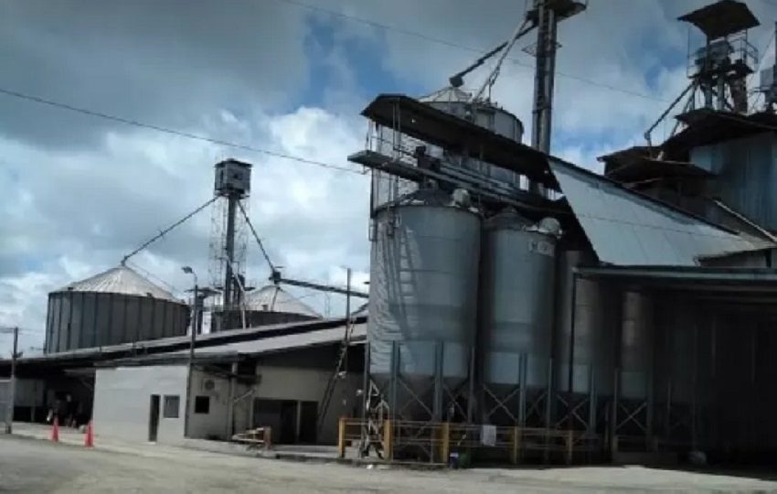 En lo que va del año se han reportado un total de 14 crímenes en la provincia de Chiriquí.