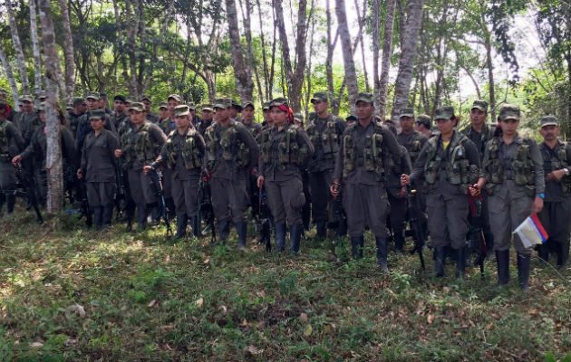 Miembros de la FARC. Foto: Archivo