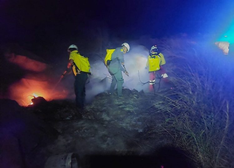 En cuatro fechas diferentes se han registrado siniestros en cinco áreas distintas, esto ha provocado la pérdida de unas 30 hectáreas. Foto. MiAmbiente
