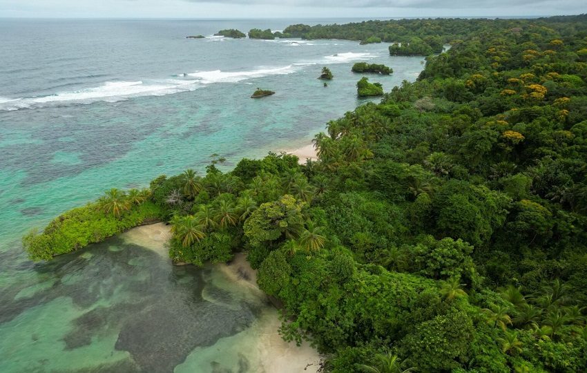 Isla Escudo de Veraguas Degó se mantiene en recuperación. Foto: Cortesía/MiAmbiente
