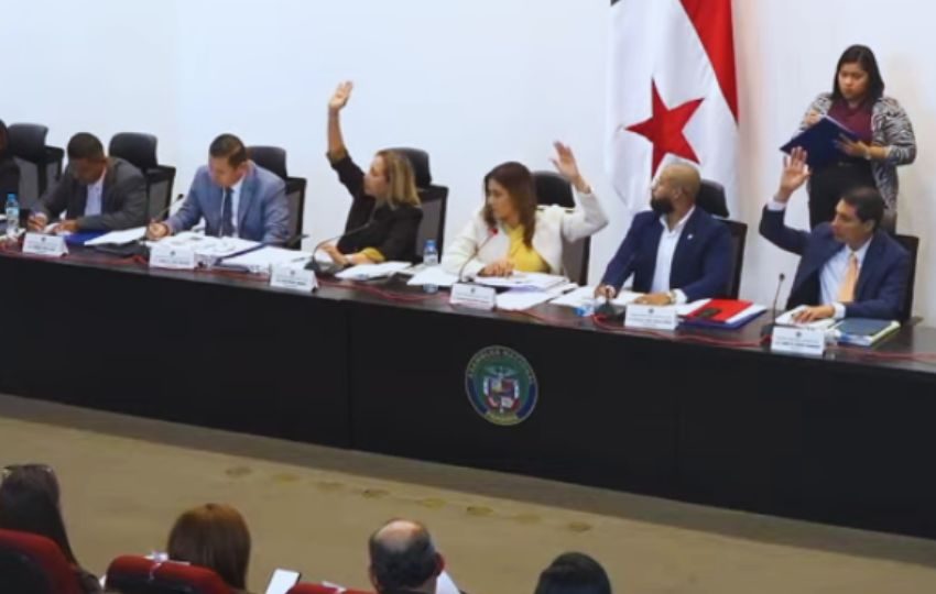 Comisión de la Mujer, la Niñez, la Juventud y la Familia. 