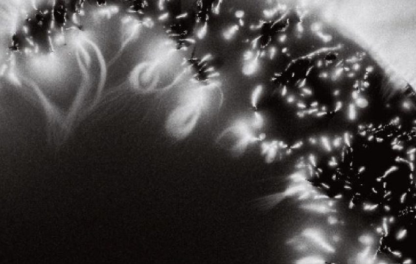 Fotografía de Marie-Jeanne Musiol.