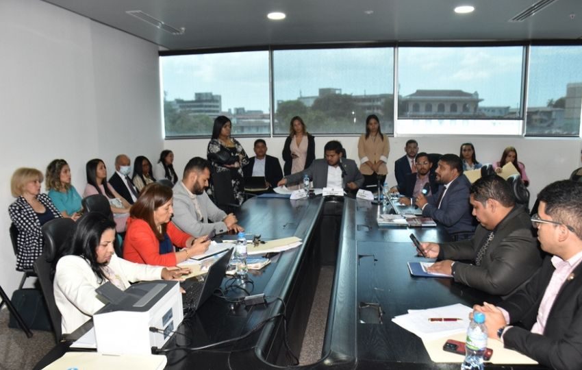 Subcomisión de Trabajo, Salud y Desarrollo Social. Foto: Cortesía