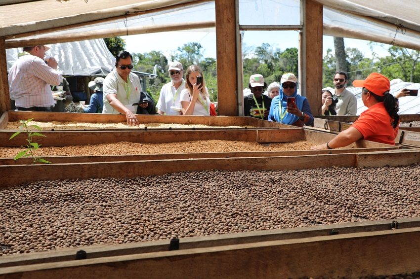 Una de las fincas visitadas por los extranjeros, en provincias centrales. Foto: Cortesía