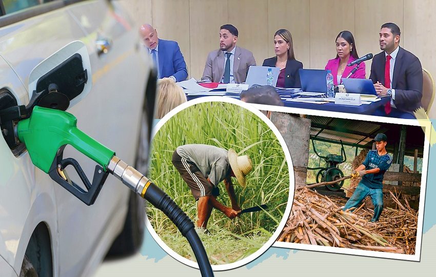 La Comisión de Comercio y Asuntos Económicos de la Asamblea Nacional continuará la discusión del proyecto la próxima semana. Foto: Epasa