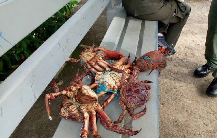 Una de as personas implicadas en este incidente escapó ante la presencia policial. Foto. Cortesía