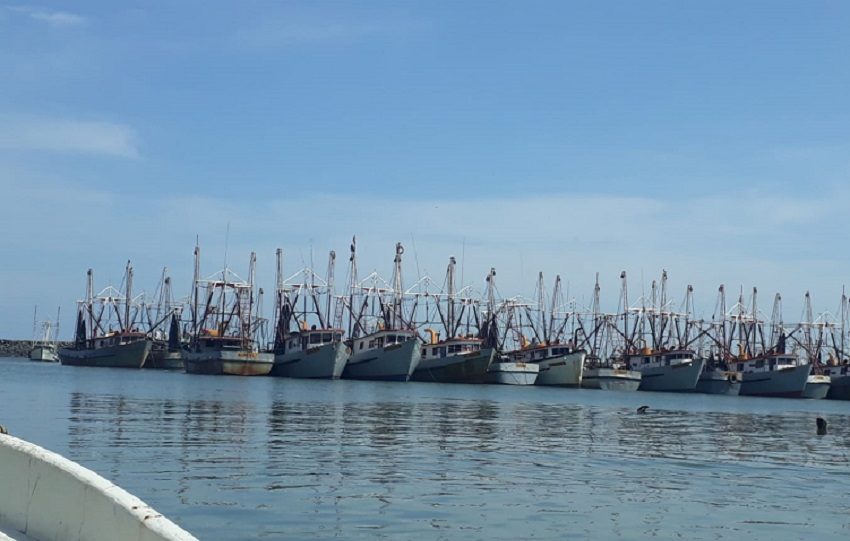 Con la entrada en operación del Centro de Seguimiento Pesquero y Vigilancia Satelital, el país avanza hacia la trazabilidad total de las capturas, un elemento crucial para fortalecer las exportaciones de productos del mar. Foto. Eric Montenegro