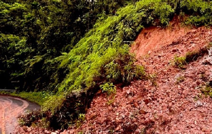 Los funcionarios del Sinaproc, atendieron dos deslizamientos y caída de árboles a la altura de quebrada Pera, en Veraguas. Foto. Sinaproc