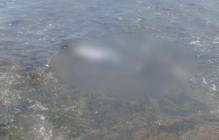 Se pudo conocer que el joven siempre colaboraba con la comunidad en labores de limpieza y otras actividades en beneficio de la población costera. 