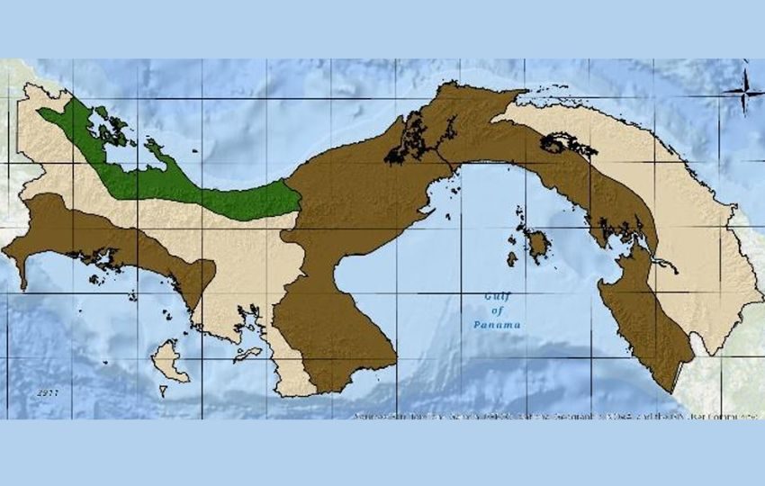 Escenarios esperados de lluvia para los mese de mayo a julio. Foto: Cortesía