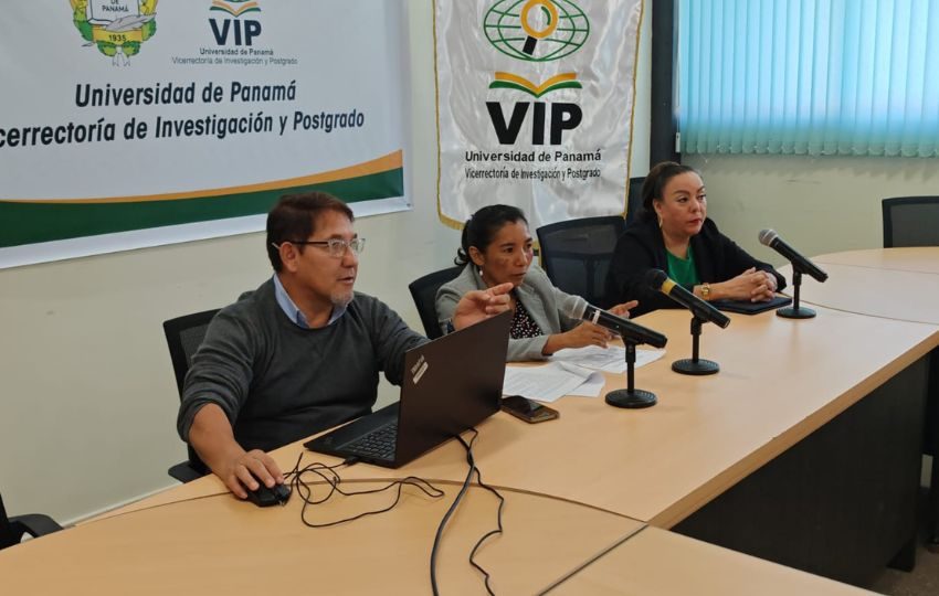 El estudio identifica además fuertes brechas sectoriales y territoriales. Foto: Cortesía