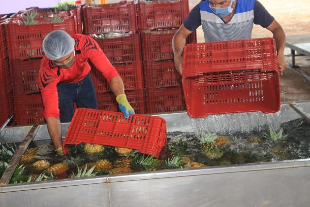 Los productores no descartan que se pueda llegar a un acuerdo entre las partes antes del fallo de la Organización Mundial del Comercio.  Archivo 