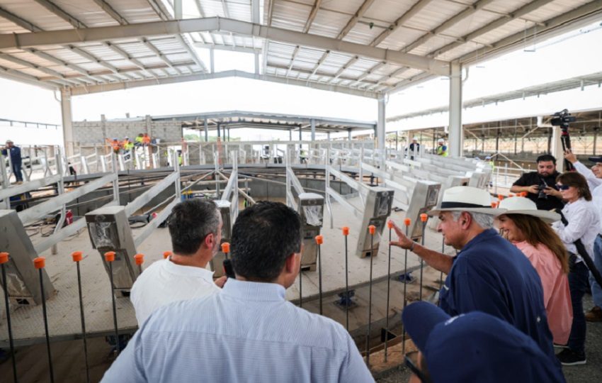 Durante el recorrido. Foto: Cortesía