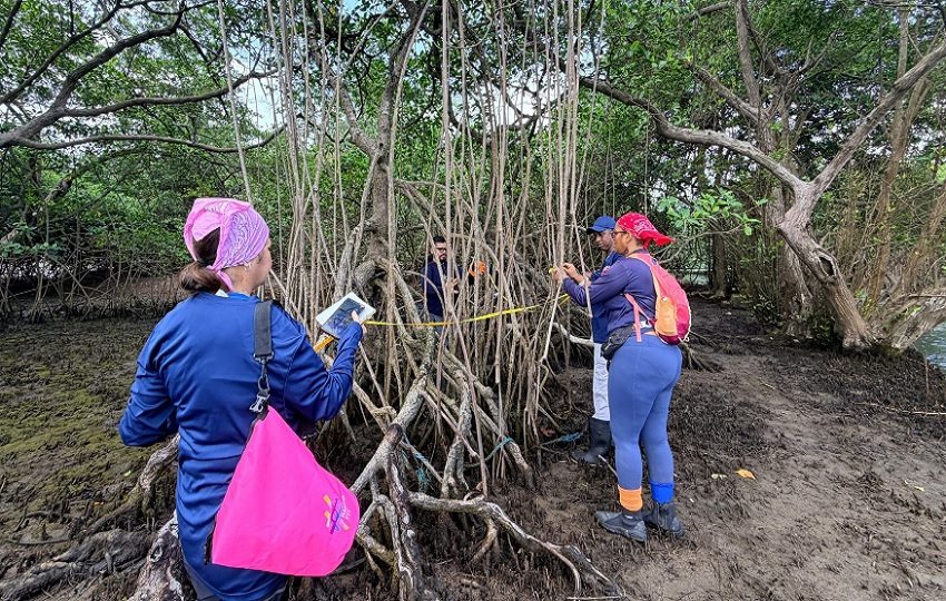 Exploración del área. Foto: Diomedes Sánchez