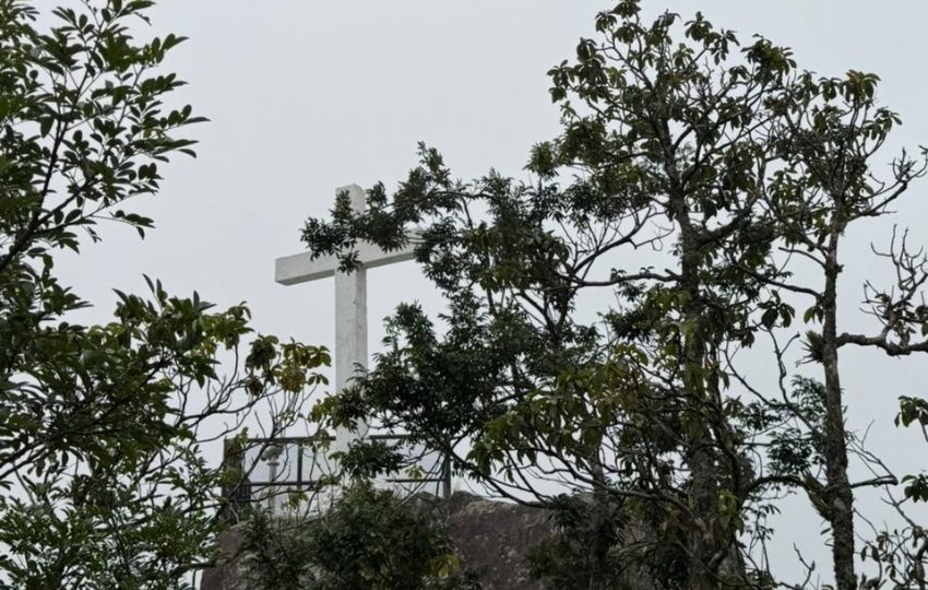 El sendero es uno de los más populares en Campana. Foto: Cortesía / Ministerio de Ambiente
