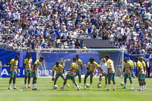 Jugadores de Senegal. Foto: EFE
